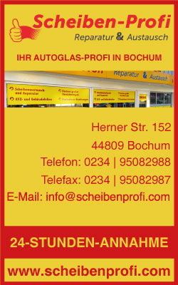 Scheibenprofi